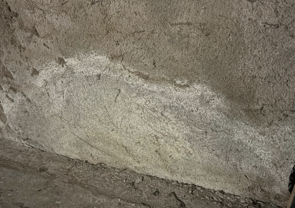 Les remontées capillaires : un fléau dans vos murs