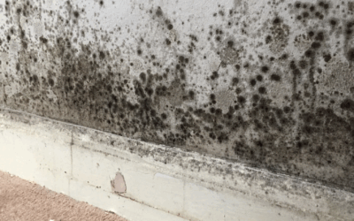 Comment traiter les murs contre les remontées capillaires ?