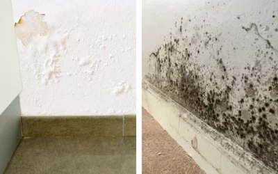 Comment empêcher l’humidité de pénétrer à travers les murs en pierre ?