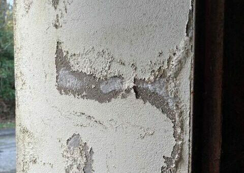 Enduit décollé par plaques sur un mur touché par les remontées capillaires