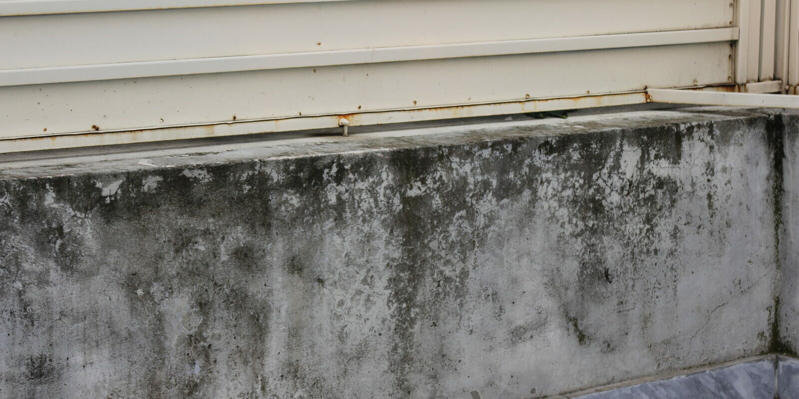 Moisissures noires en partie basse d'un mur, sous une fenêtre