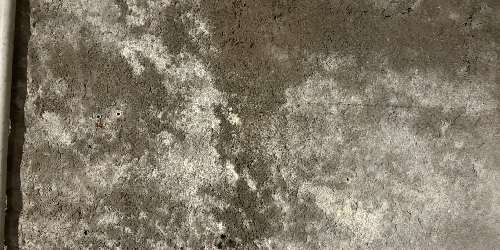 Mur intérieur couvert de moisissures et de traces d'humidité