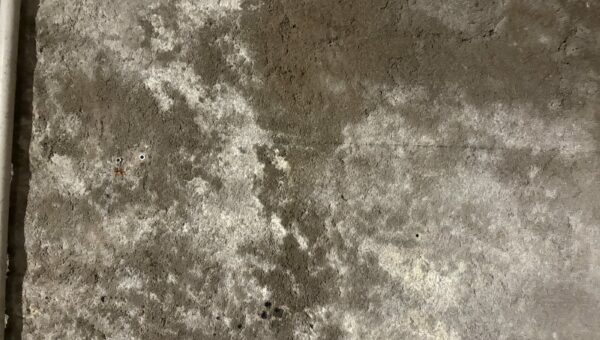 Mur intérieur couvert de moisissures et de traces d'humidité