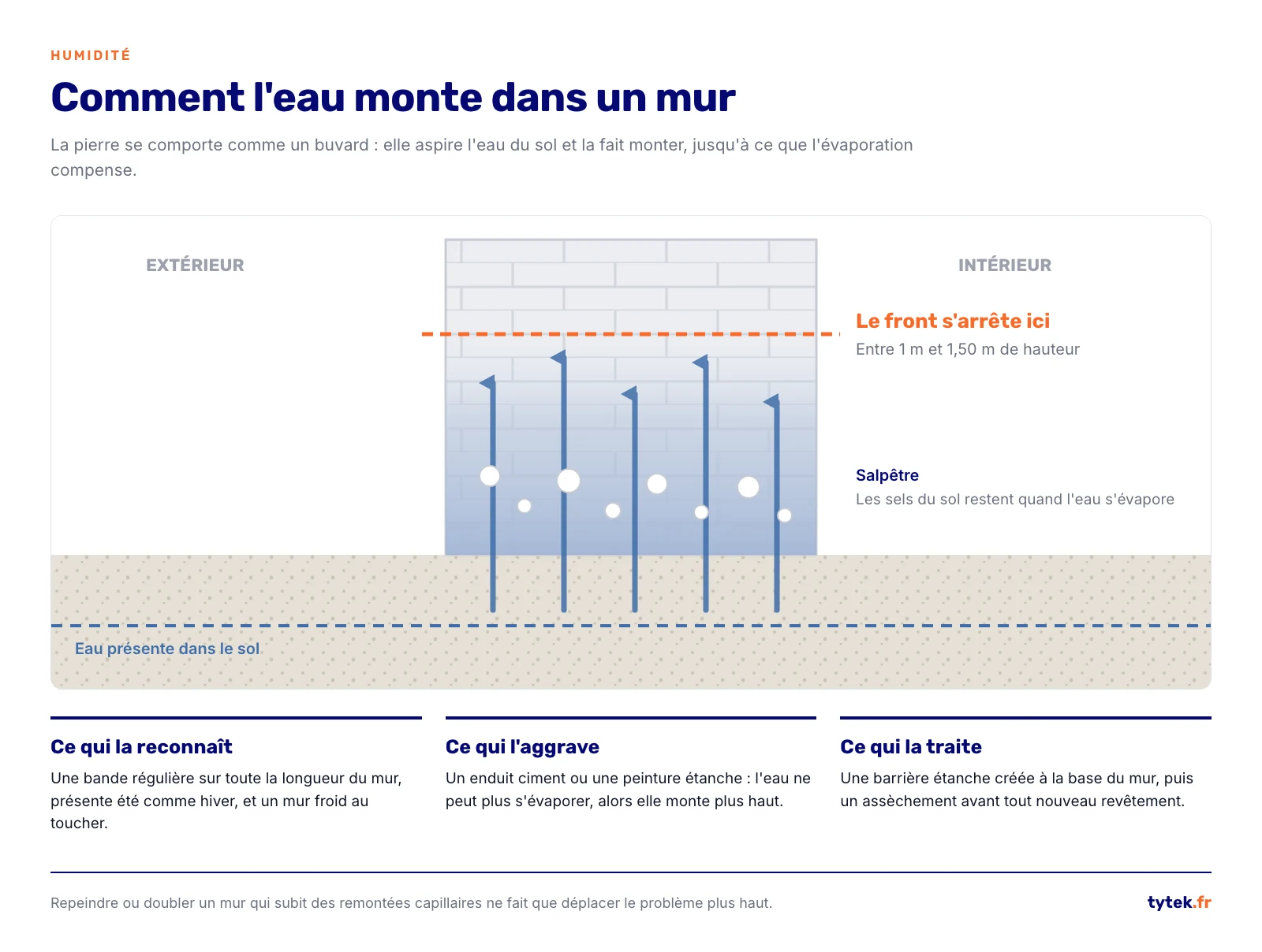 Coupe de mur montrant l'eau du sol qui monte par capillarite jusqu'au front d'humidite