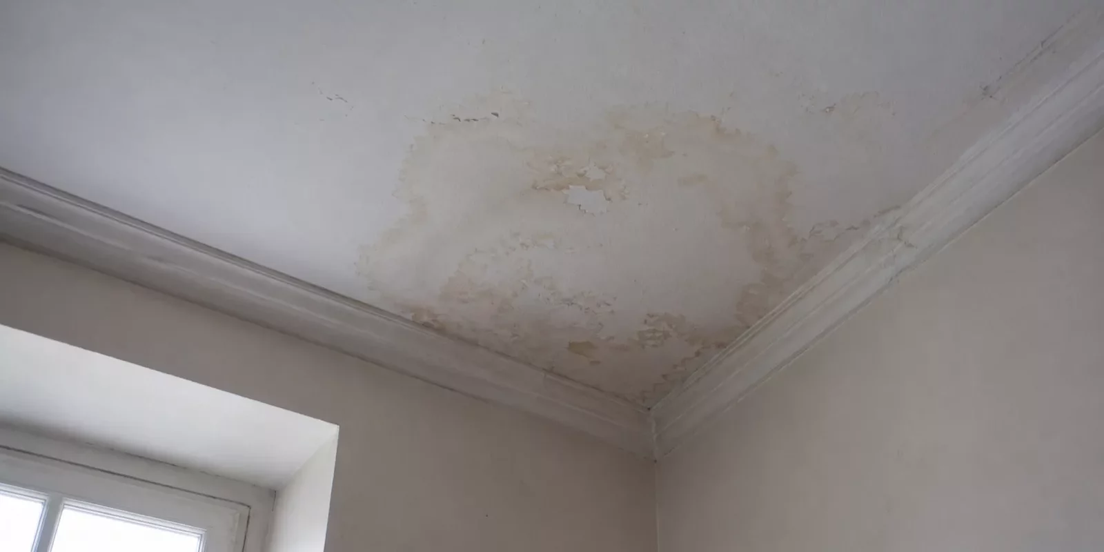 Plafond de pièce ancienne marqué par une auréole brunâtre près d'un angle, peinture écaillée